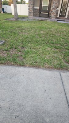 North Florida lawn & Pest