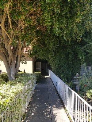 A view towards our Activities room and garden rooms.