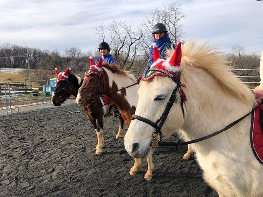 Christmas ponies!