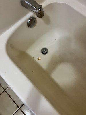 Weird stains in tub