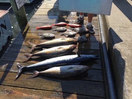 A few Red Snapper, Triggerfish, Amberjack, and a nice size Wahoo