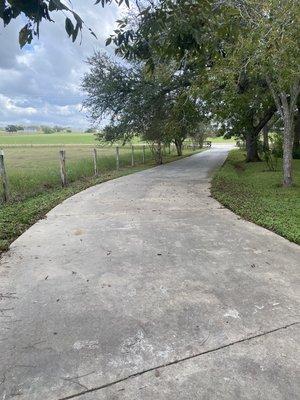 Before we pressure washed off this driveway at a ranch house