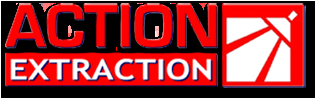 Action Extraction - Utah Carpet Cleaners