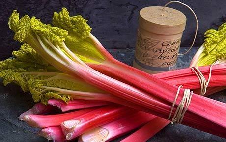 We grow great produce, and this is our example of our rhubarb. Grown pesticide and fertilizer free.