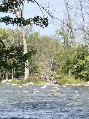 Boardwalk near river