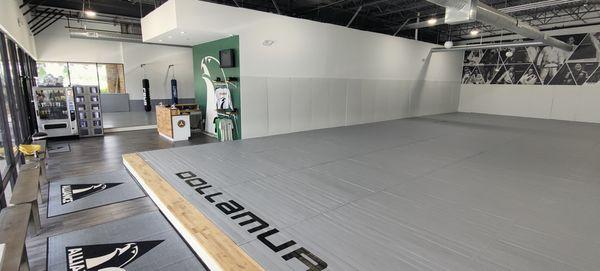 BJJ Mat 1