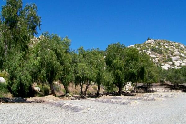 Boondocking area with old pepper trees for shade