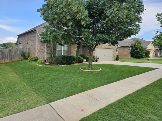 2nd mow on new sod. That is edge domination on your neighbor