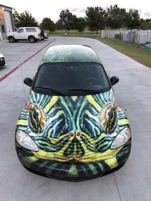 Turtle car wrap 3D design