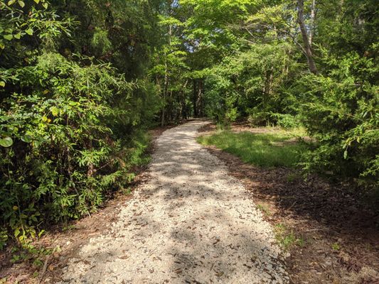 Walking trail at Marvin Efird Park