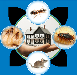 ATEC Pest Control