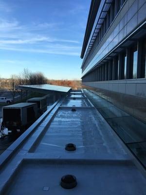 Roof Cleaning