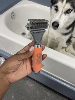 Deshedding tool