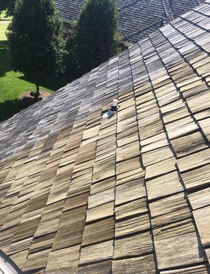 Wood Shingle Cleaning