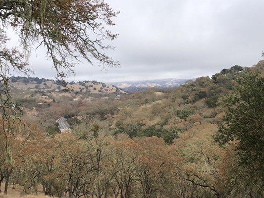 Three Bridges Oak Preserve Trail