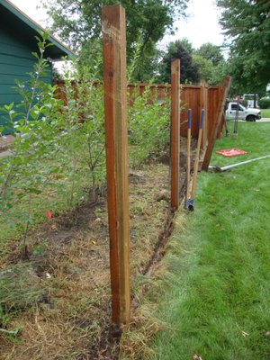 Fence also needs repairs and rebuilding.