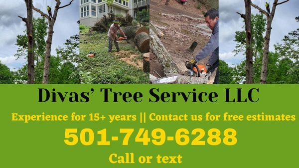 Divas Tree Service