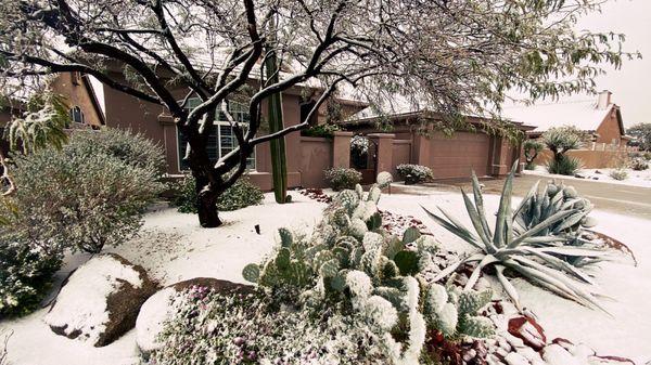 Troon on a rare snowy day!   We still love that you helped us find our dream home , Leonard Clementi!!