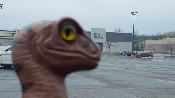 Bob the Raptor Says "Mammals come here to get clothes."