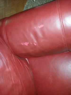 About a year and half ago we purchased a LEATHER sofa from Blackers being told it was REAL LEATHER; we also bought the additional warranty.