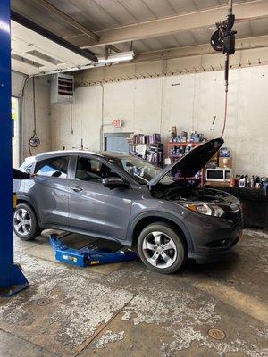 Inspection and Oil Change