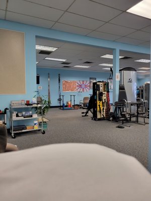 Apex Physical Therapy