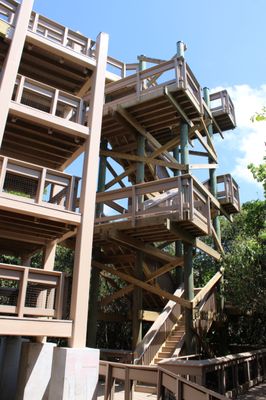 The newly opened Jacob's Outlook rises over 40' from the forest floor. It is accessible via stairs or a ramp.