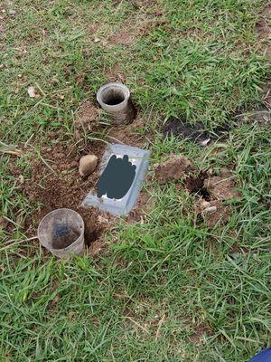 The grave next  to my dad's is always swarming with flies, has holes and mold.  Makes  visiting my dad's grave an unpleasant experience.