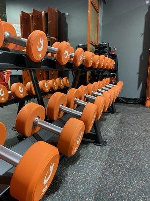 We have plenty of free weights for our customers who are heavy lifters.