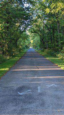 Slippery Elm Trail