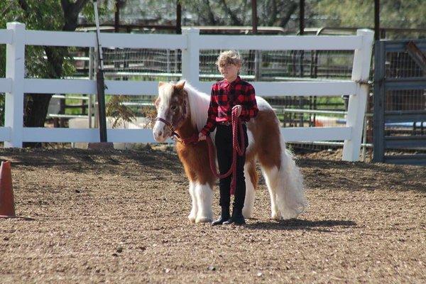 A young student working with her pony.