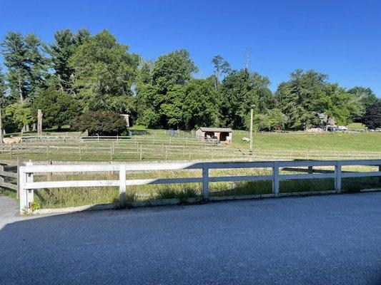 Shadow Creek Farm at Ridley Creek Park