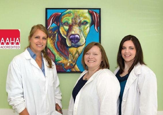 Our Veterinarians