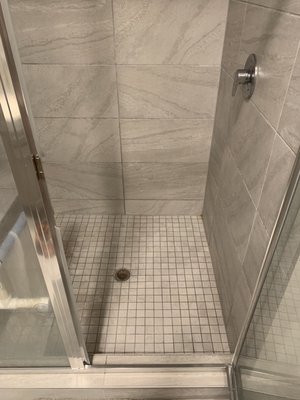 Shower in unit - ignore the bird perch