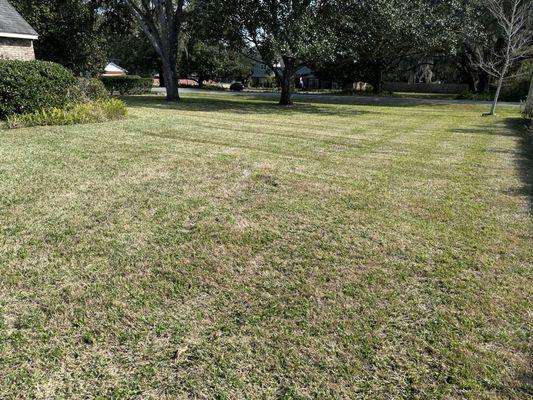 American Grounds Service Mowing In Dunnellon.