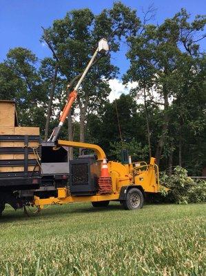 Tree trimming