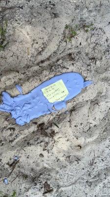 Footprint casting using Dental Stone.