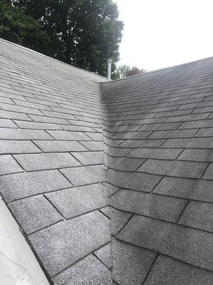 Here's a side by side picture of how our Roof Cleaning can bring life back to your roof !