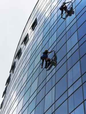 Commercial Window Cleaning