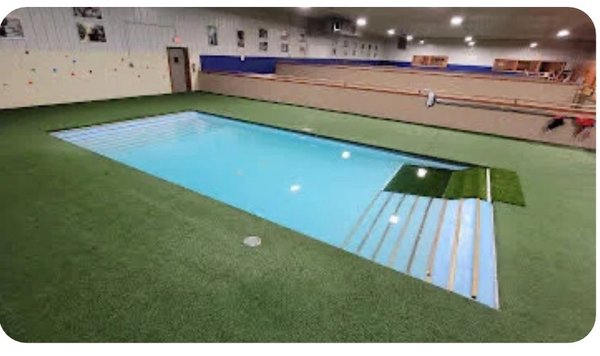 Pool for dogs