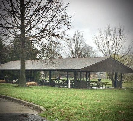 One of the large picnic pavilions with BBQ pits.