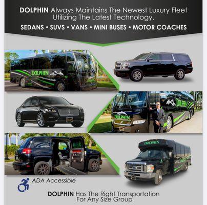 Dolphin Transportation Specialists