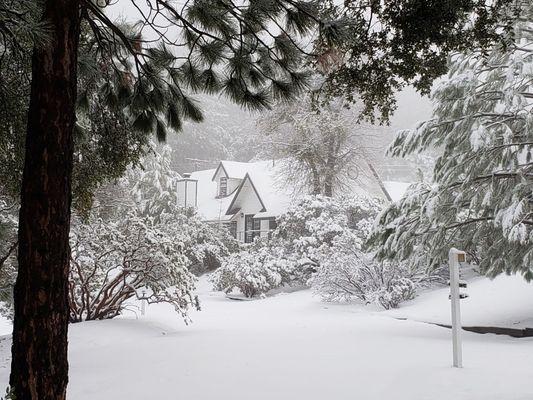 Snowflakes at Al Hattie