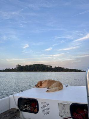 Daufuskie Island