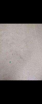 Before and after carpet cleaning photos