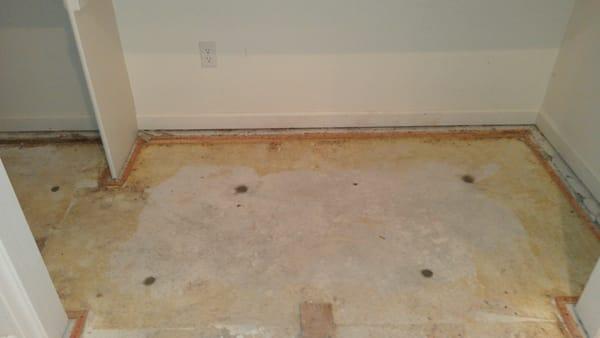 Interior Floor - after lifted, voids filled