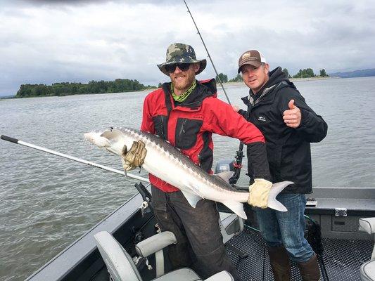 Sturgeon caught on the Columbia River near Astoria, OR