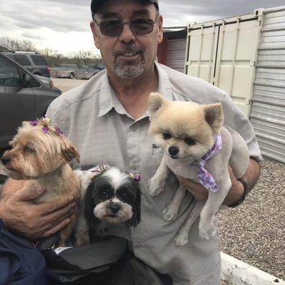 Our 3-pack after a grooming