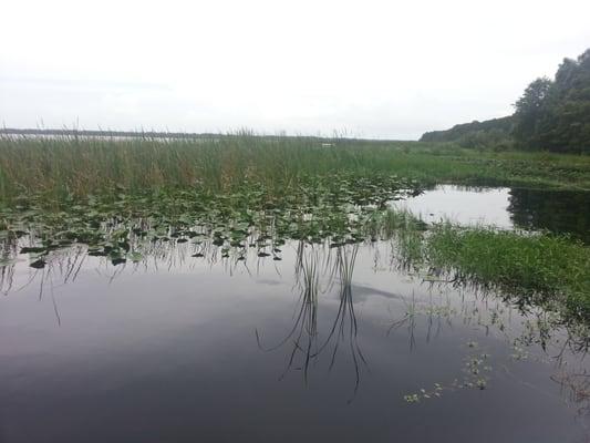 Lake Hatchineha