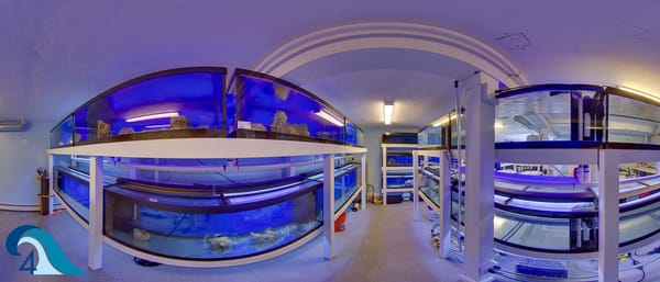 Seascapes Aquariums